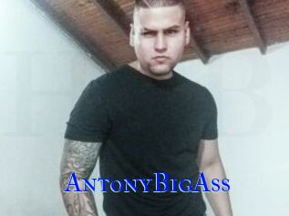 AntonyBigAss