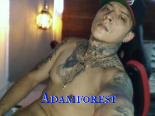 Adamforest
