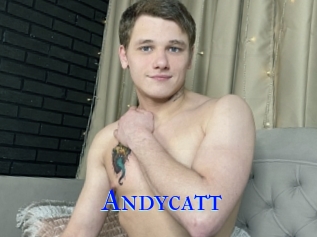 Andycatt