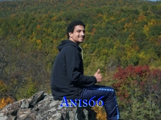 Anis66