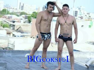 BIGcoks10I