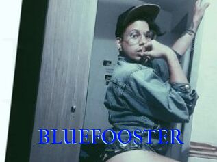 BLUEFOOSTER