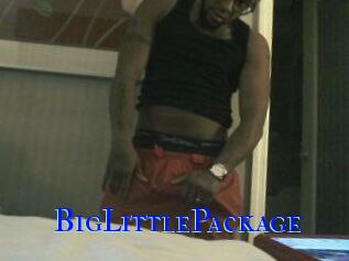 BigLittlePackage