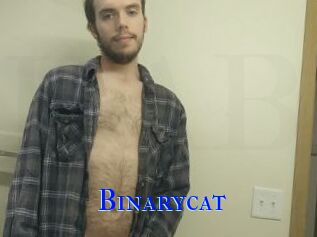 Binarycat