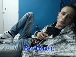 BoyHorse