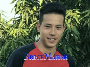 BriceMarsh