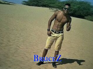 BruceZ