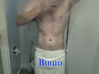 Bibud