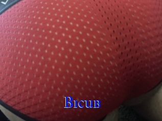 Bicub