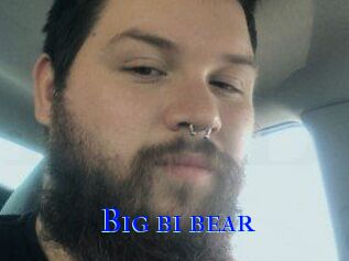Big_bi_bear