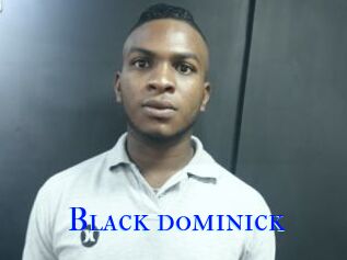 Black_dominick