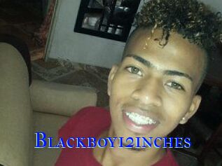 Blackboy12inches