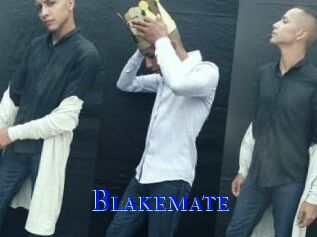Blakemate