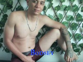 Bodsey