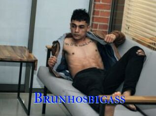 Brunhosbigass