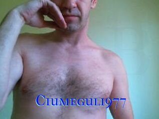 Ciumegul1977