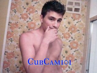 CubCam101