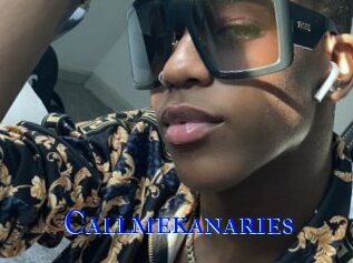Callmekanaries