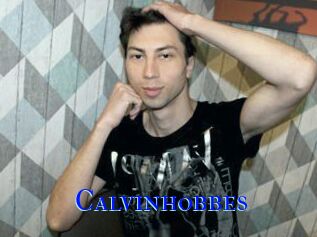Calvinhobbes