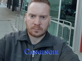 Cangingie