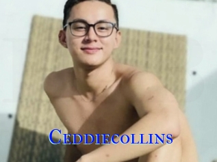 Ceddiecollins