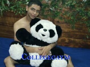 Collegegaym