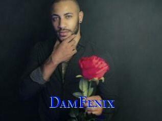 DamFenix