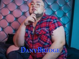 DanyBridge