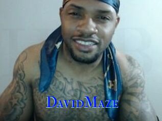 David_Maze