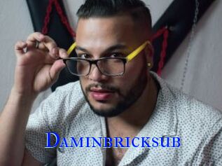 Daminbricksub