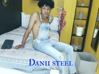 Danii_steel