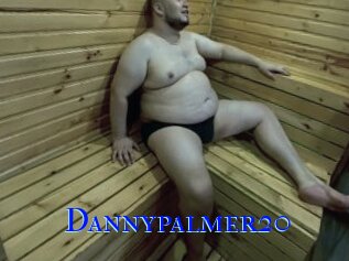 Dannypalmer20