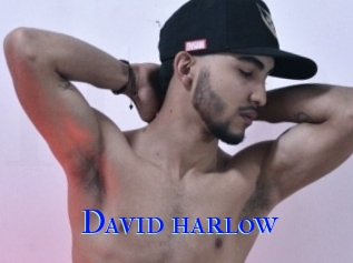 David_harlow