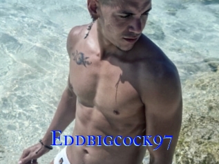 Eddbigcock97