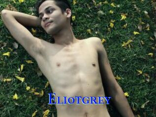 Eliotgrey