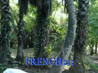 FRENCH213