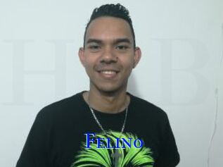 Felino