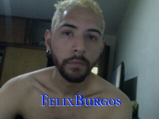 FelixBurgos
