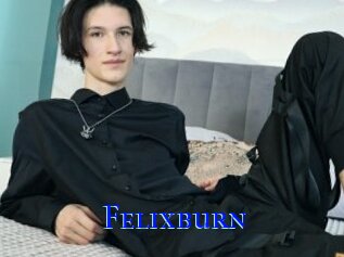 Felixburn