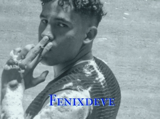 Fenixdeve