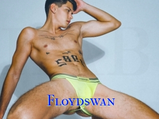 Floydswan