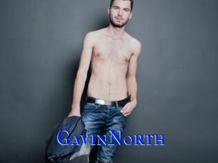 GavinNorth