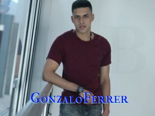GonzaloFerrer
