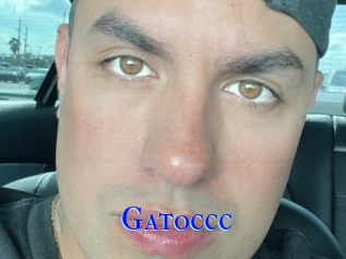 Gatoccc
