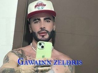 Gawainn_zeldris