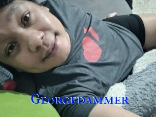 Georgedammer