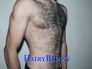 HairyBunny