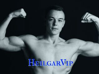HeilgarVip