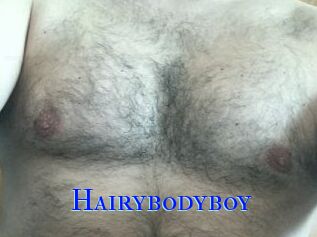 Hairybodyboy