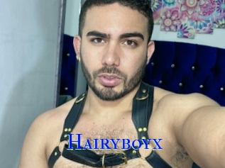 Hairyboyx